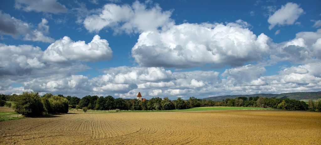 Farming for Carbon and Nature scoping research