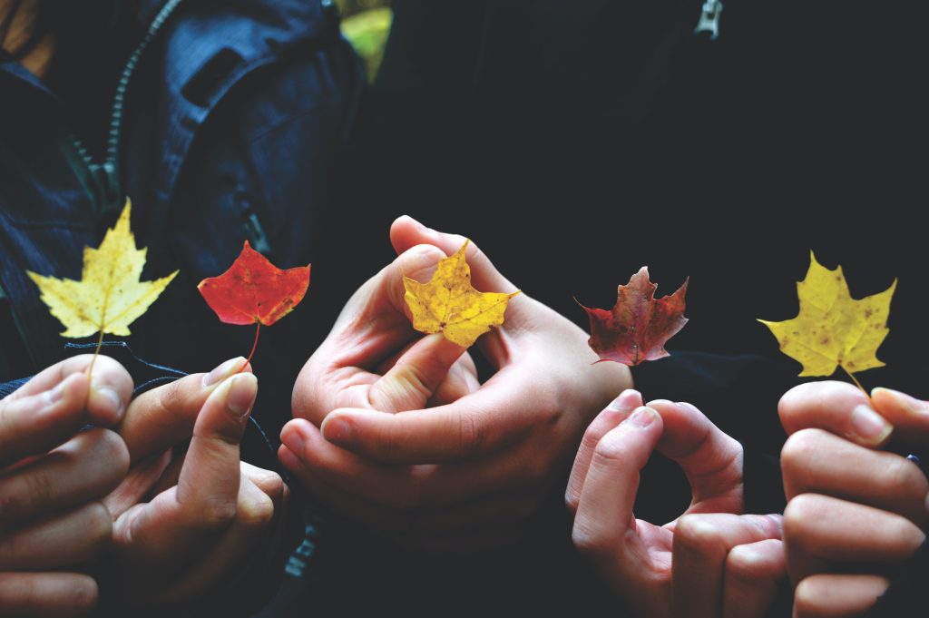 Perspectives on young people, education and environmental issues