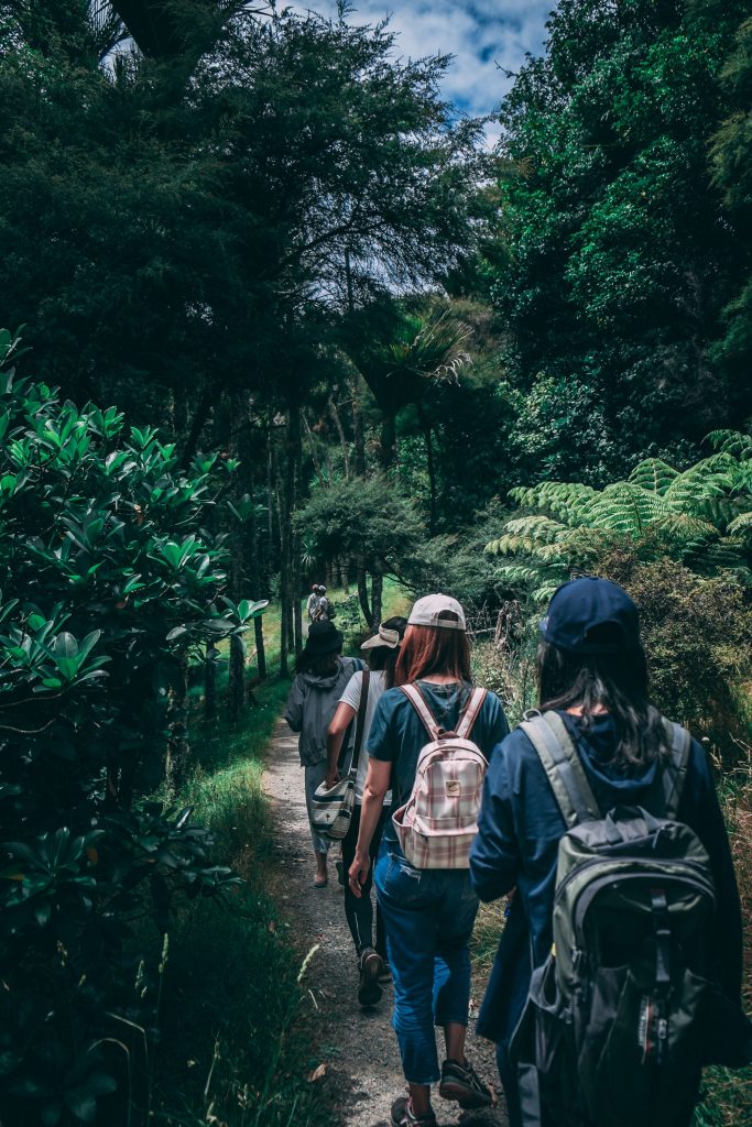 Student opinion on access to nature and education action