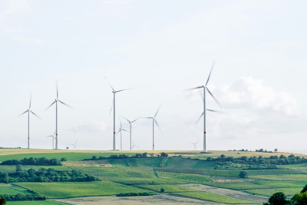 Perspectives on the UK’s environmental charities