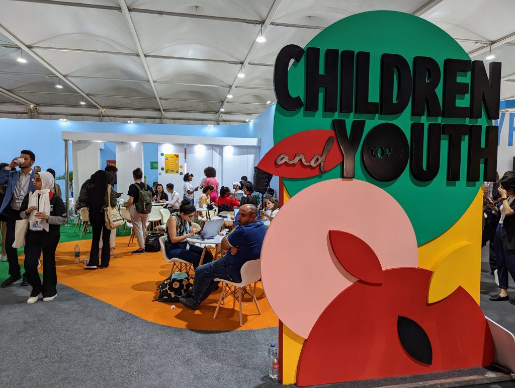 Youth climate movements only get 0.76% of global climate philanthropic funding