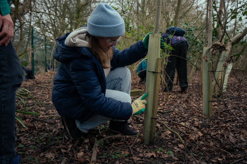 My experience as a Green Impact Project Assistant (GIPA): Student guest blog
