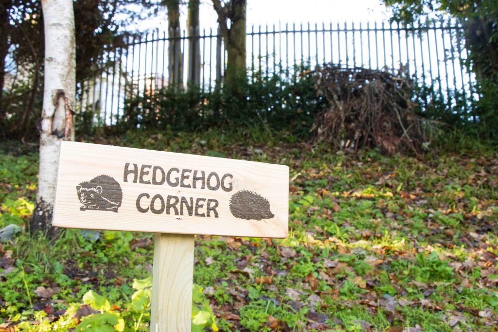 Spotlight on success: 2024 Hedgehog Friendly Campus awardees