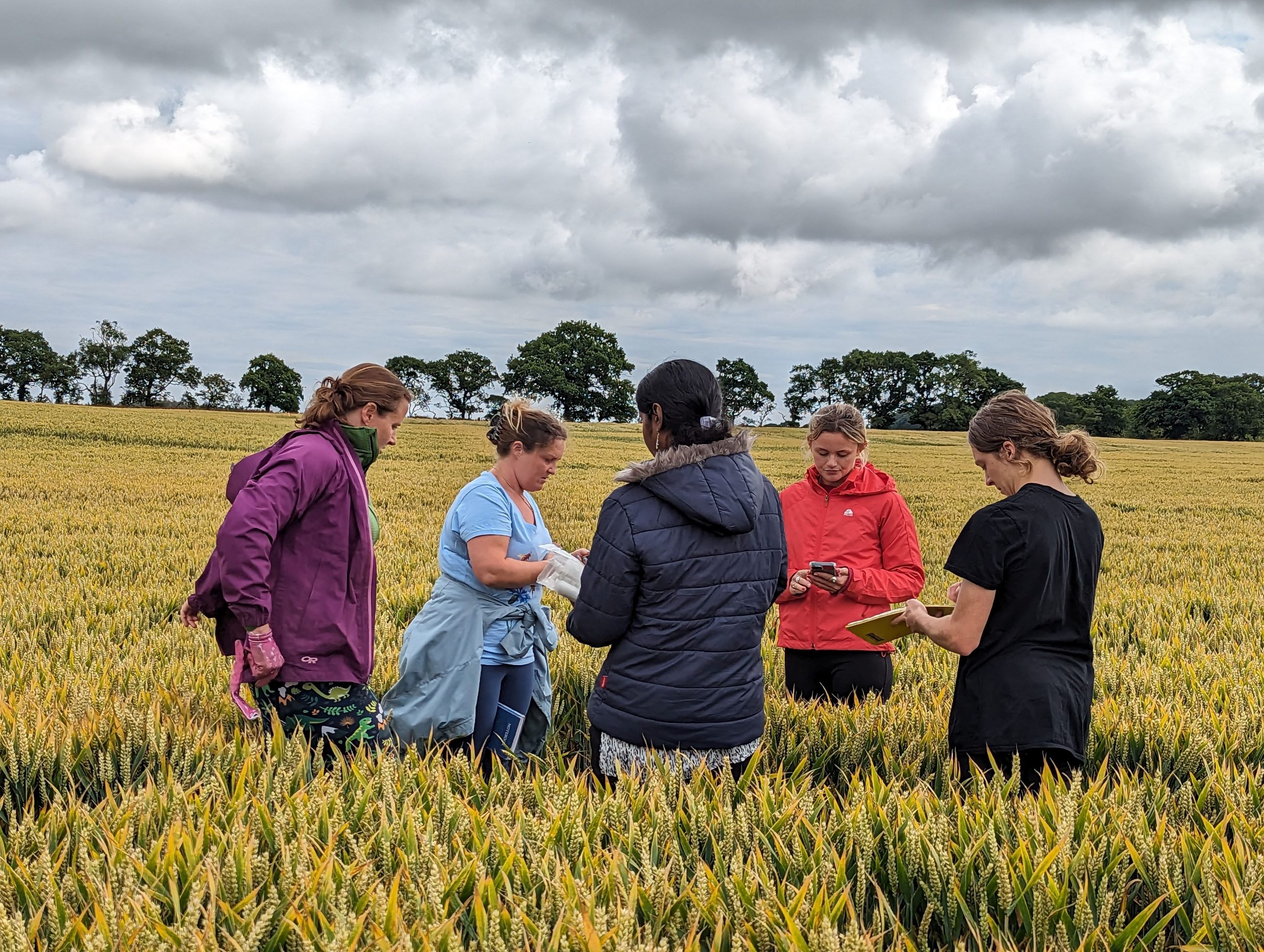 Farming for Carbon and Nature